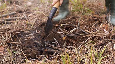 Close-up of unrecognizable tourist man putting out fire burying smoldering wood in ground and stepping on campfire with
