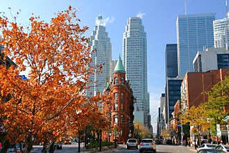 Toronto Skyline and Fall Colors