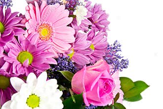 Bunch of spring flowers
