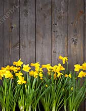 Flowers Wood Fence Background