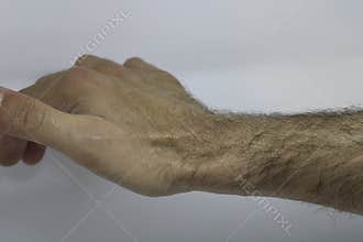 Male Anatomical Snuffbox