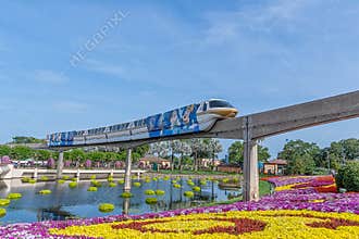 50th celebration monorail at Epcot