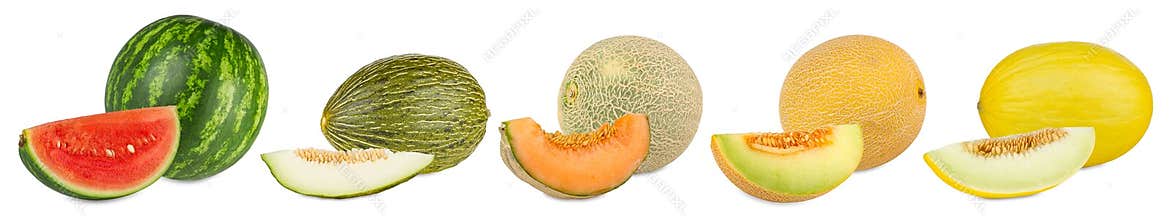 Set collection row of various kind of fruit melons like watermelon cantaloupe gaya charente and galia with melon slice isolated