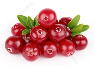 Sweet cranberries with leafs