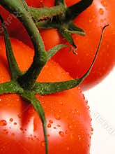 Bunch of tomatoes