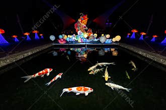 Koi fish reflected on the calm pond water at the Chinese light festival