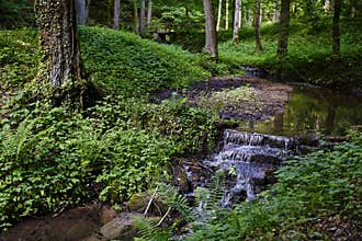 Idyllic cascade valley in forest of spa town Bad Kissingen