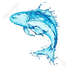 Water splash,fish