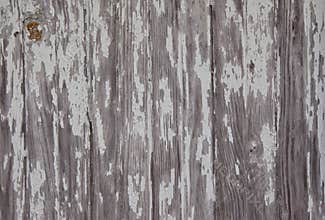 Weathered Barn Wood