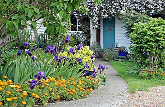 Country cottage garden path