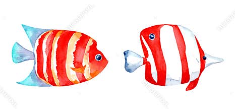 Set of watercolor illustrations of fish on a white background.