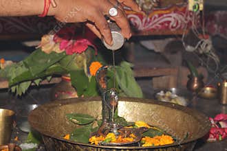 Hindu Devotees offering milk And Water to Shiv Lingam on occasion of Abhishekam in India . Offering Flower and bael leafs