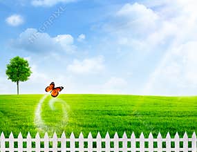 Rural summer abstract backgrounds