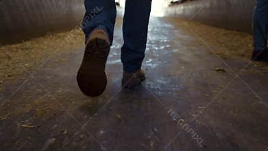 Closeup farmer boots strolling wooden shed aisle. Agricultural team at work.