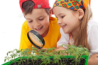 Kids learning to grow food
