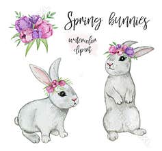 Spring rabbit clipart, watercolor bunnies isolated, easter bunny set, rabbit hand drawn illustration, cute woodland animals