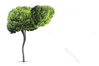 Illustration of a tree in the shape of a liver environment and medicine