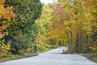 Country Road in Fall, Autumn Road Trip