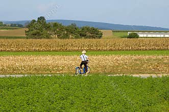 Amish Boy on Scooter.