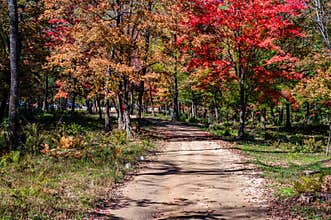 Autumn October, Jilin Jiaohe Red Leaf Valley Red Leaf Landscape
