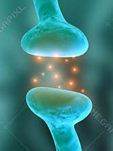 Active Receptor