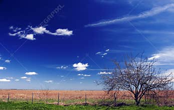 South Texas Prairie