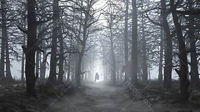 Loop dark scary forest with flying ghosts