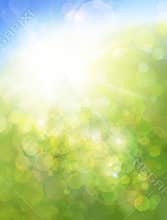 Eco nature / green and blue abstract defocused