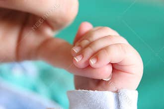 New born Baby's hand