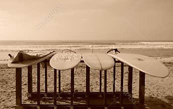 Longboards Enjoying the Sun