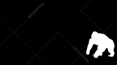 Gorilla come in and act Angry Screams at the center of Screen and then run out to the left.