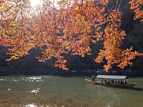 Beautiful fall color and Katsura River with boat