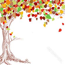 Autumn tree