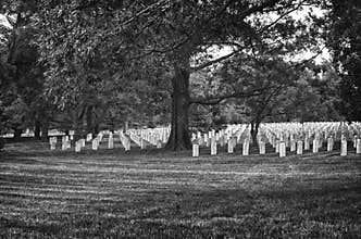 Arlington Cemetery in Black and White