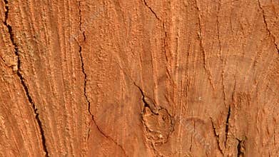 Brown plywood wooden surface. Vintage pine hardwood background. Old weathered natural wood texture of a rough tree - trunk of a
