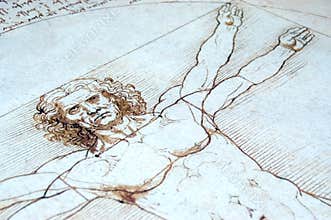 Vitruvian Man