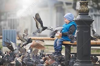 Street portrait of the little boy feeding pigeons with seeds