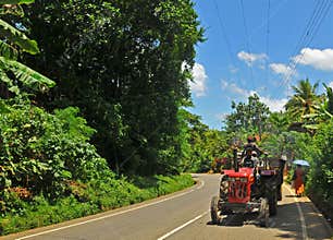 Tractor in the jungle - Tangalla (Sri Lanka)