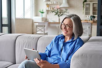 Senior older woman at home at video meeting with family friends on tablet.