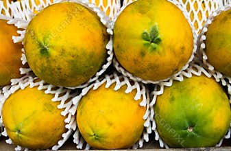 Green papayas in a basket.