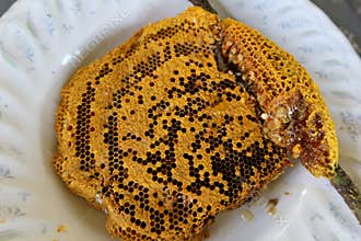 Drops of honey dripping from a hexagonal honeycomb filled with golden nectar. Honeycombs summer elements