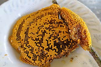 Drops of honey dripping from a hexagonal honeycomb filled with golden nectar. Honeycombs summer elements