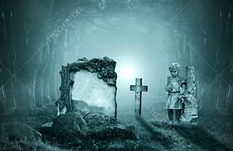 Graves in a forest