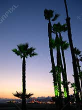 Santa monica