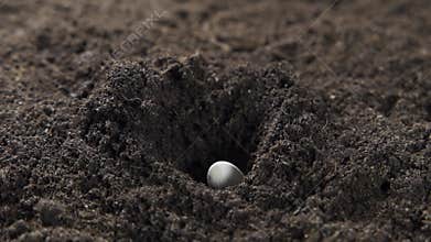 Farmer hands planting seeds in the garden. Close-up of a girl&#x27;s hands putting seeds in the ground.