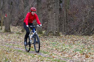 Mountain biker in the forrest