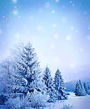 Winter landscape
