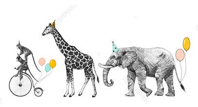Beautiful image with safari animal birthday party. Monkey on bike giraffe and elephant with baloons. Stock illustration
