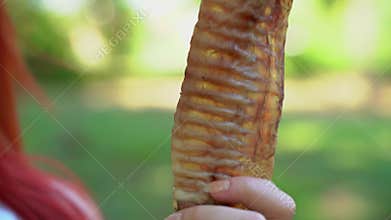 Female handler holds in hand dried dog meat treat that can be used as motivation and encouragement during training, or