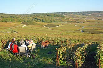 Champagne tasting in the vineyard